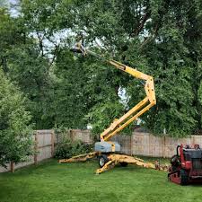 Best Lawn Mowing  in Arlington Heights, WA
